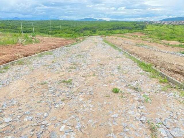 Área para Venda em Quixeramobim - 4